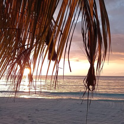 Sunset in Negril