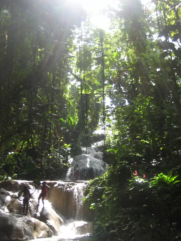 Waterfalls, Ochi