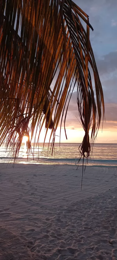 Sunset in Negril