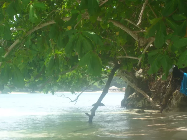 Frenchmans Cove